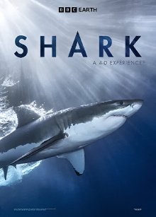 Shark: A 4D Experience Trailer