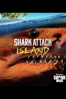 Shark Attack Island Trailer