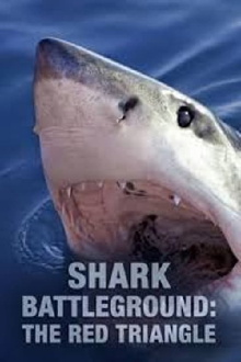 Shark Battleground: Red Triangle Trailer