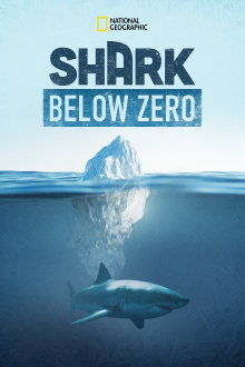 Shark Below Zero Trailer
