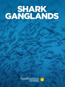 Shark Ganglands Trailer
