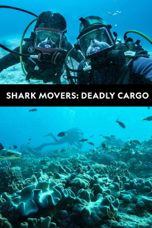 Shark Movers: Deadly Cargo Trailer