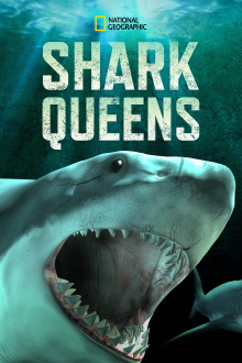 Shark Queens Trailer