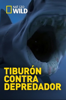 Shark Vs Predator Trailer