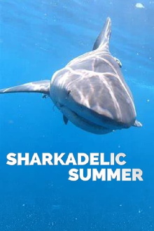 Sharkadelic Summer Trailer