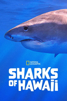 Sharks of Hawaii Trailer