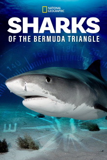 Sharks of the Bermuda Triangle Trailer