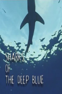 Sharks of the Deep Blue Trailer