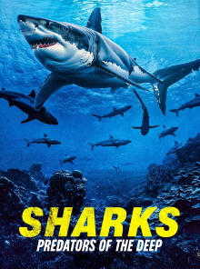 Sharks: Predators of the Deep Trailer