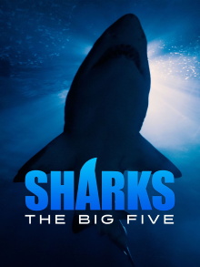 Sharks - The Big Five Trailer