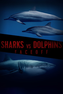 Sharks Vs. Dolphins: Face Off Trailer