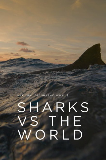Sharks vs. the World Trailer