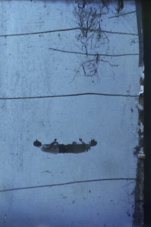 She Breathes Water Trailer