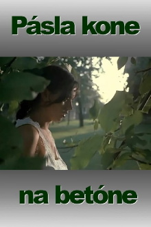 She Kept Asking for the Moon Trailer