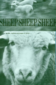 Sheep, Sheep, Sheep Trailer
