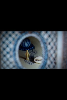 Shell Fables ~ a Curious Cabinet of Beings & Becoming Trailer