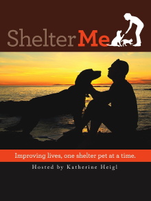 Shelter Me Trailer