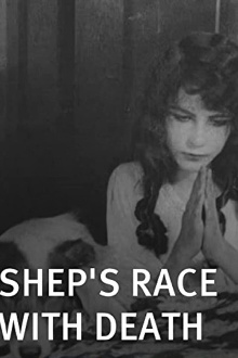 Shep's Race with Death Trailer