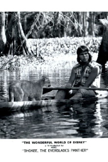 Shokee, the Everglades Panther Trailer