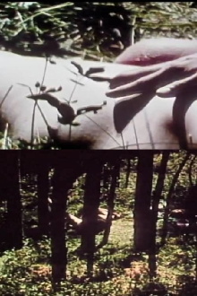 Short Films 1975: #9 (Forest Love Scene) Trailer