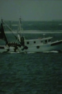 Shrimp Boat Log Trailer