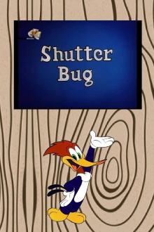 Shutter Bug Trailer