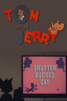 Shutter Bugged Cat Trailer