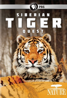 Siberian Tiger Quest Trailer