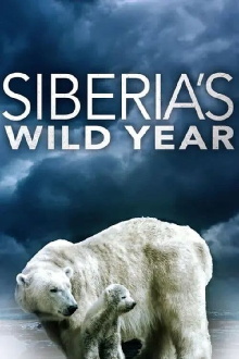 Siberia's Wild Year Trailer