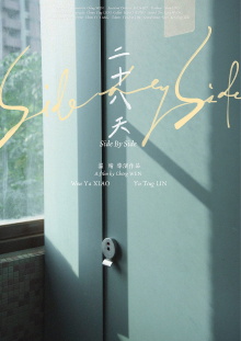 Side by Side Trailer