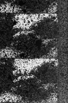 Signal Trailer
