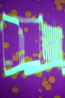 Signal Tracing Trailer