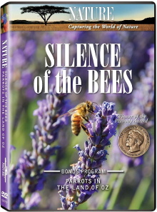 Silence of the Bees Trailer