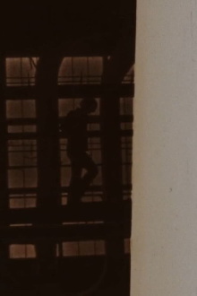 Silos Trailer