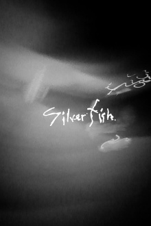 Silverfish Trailer