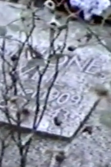 Simone Weil Avenue Trailer