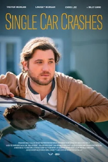 Single Car Crashes Trailer