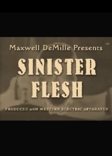 Sinister Flesh Trailer