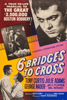 Six Bridges to Cross Trailer