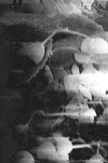 Six Variations on the Same Theme: Third Variation Trailer