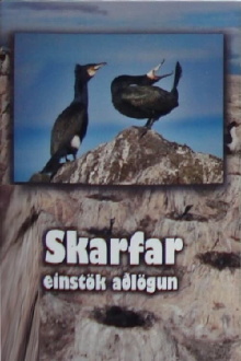 Skarfar Trailer