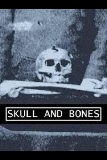 Skull and Bones Trailer