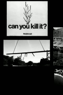 Slaughterhouse Trailer