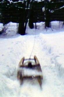 Sled Trailer