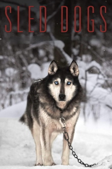 Sled Dogs Trailer