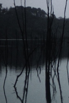 Sleeping waters Trailer