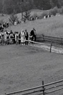 Sloping Fields Trailer