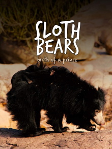 Sloth Bears: Birth of a Prince Trailer