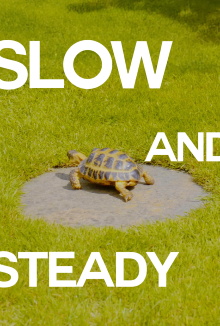 Slow and Steady Trailer