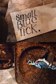 Small Blue Tick. Trailer